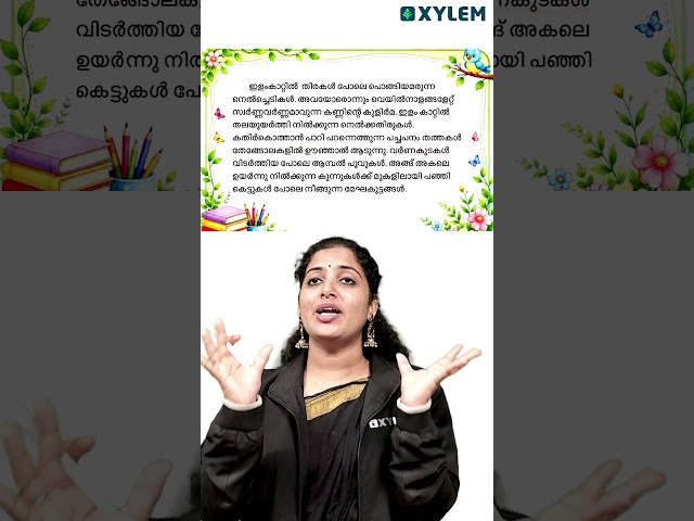 Class 4 | | Xylem Class 4