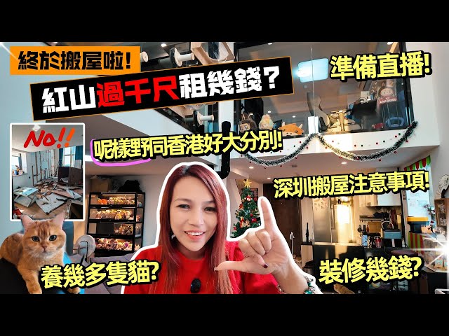 紅山過千呎複式租幾錢? 魚夫人終於搬新屋! 深圳搬屋注意事項, 原來要有放行條? 紅山租房價格破新低, 大單位性價比高! 到底養幾多隻貓? DIY自動貓補水飲水機? 裝修用左幾多錢? 23號晚直播見!