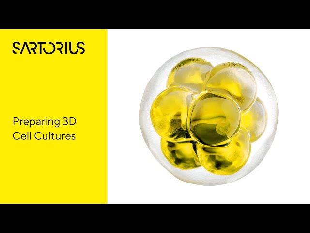 Mastering 3D Cell Cultures: Overcoming Reproducibility Challenges