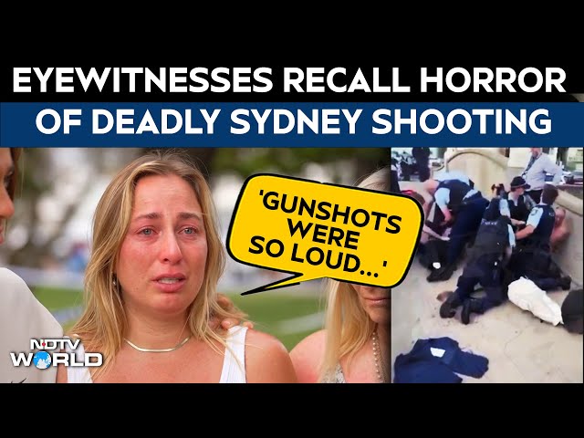 Sydney Bondi Beach Incident: Eyewitness Recalls Horror Of Deadly Sydney Attack