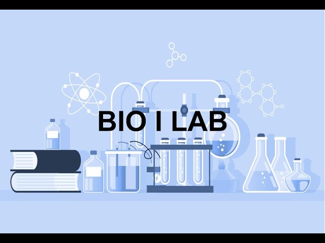 Lab 2.3 Blood Typing