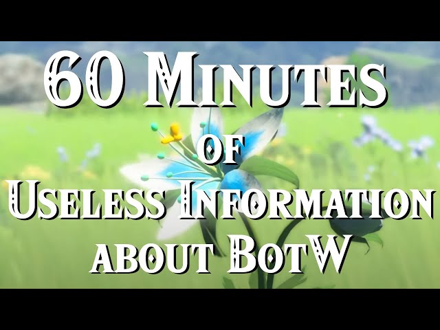 60 Minutes of Useless Information about BotW