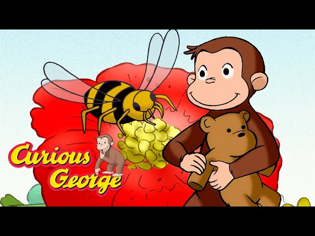 Bee's Aren't Scary! 🐵 Full Episodes | Curious George