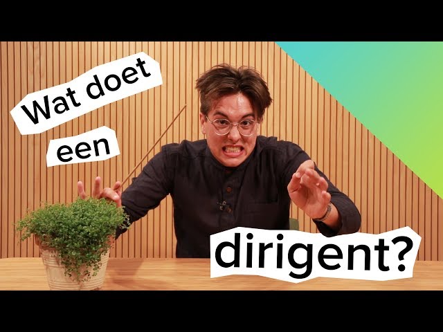 Wat doet een dirigent?