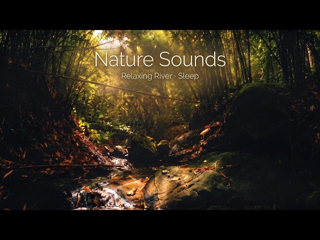 Peaceful Jungle River  in West Java🌙   | Real Nature Sounds for Deep Sleep