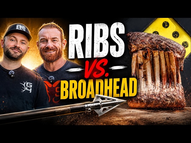 How Tough Are These Broadheads?