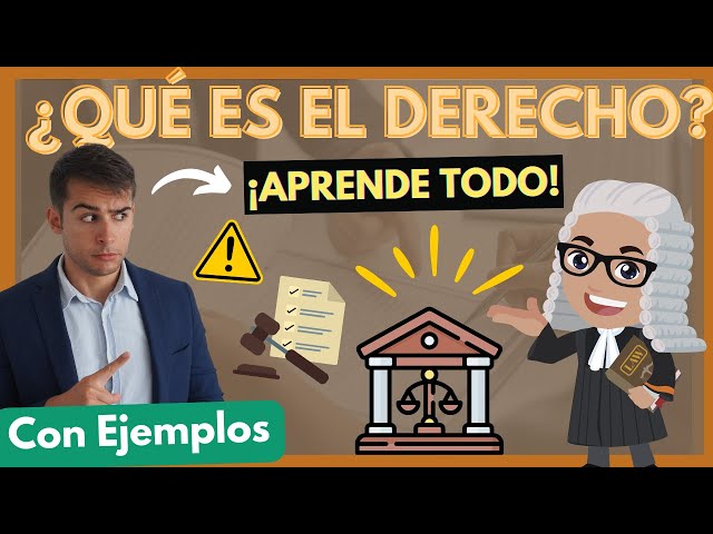 ➡️ What is Law? 【Discover all the essentials with examples in 3 steps】