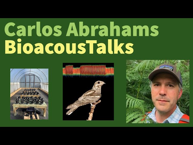 BioacousTalks: Passive Acoustic Monitoring in Air, Water, and Earth by Dr. Carlos Abrahams