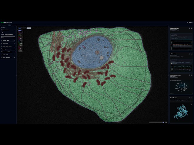 Introducing AIDO Cell: Simulating Human Cell Biology in Silico