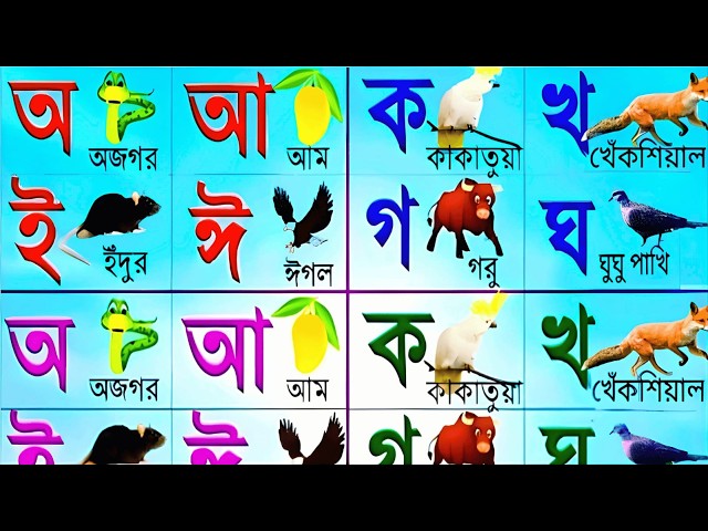 Learning the Bengali Alphabet | Consonants Ka Kha Ga Gha | Vowels A Aa I Ee | Bangla Alphabet | B...