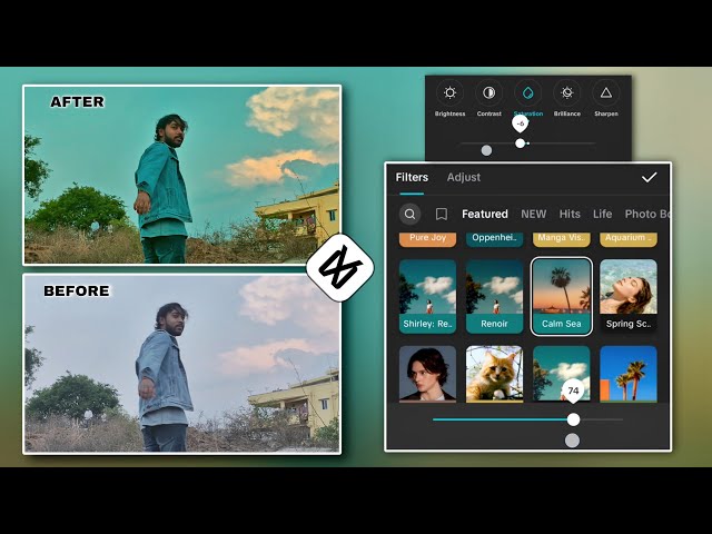 CapCut Color Grading Secrets - Mobile Edit 