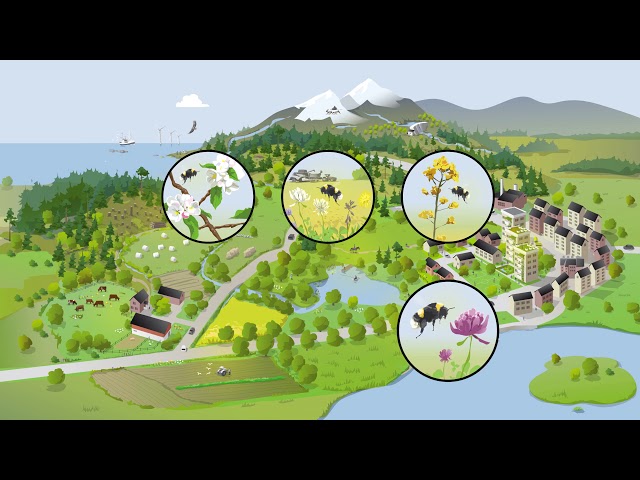 Green Infrastructure - Sustainable Landscapes | Swedish EPA