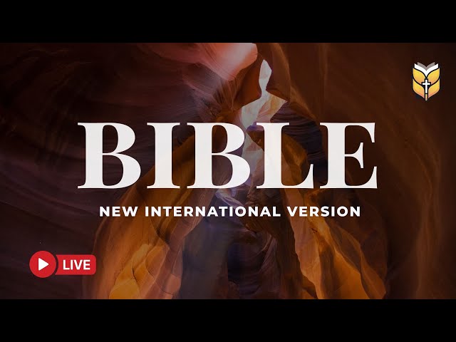 NIV Holy Bible Reading – Strengthen Your Heart with God’s Word 🔴 BibleVision LIVE