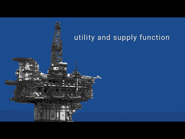 Utility, Supply Function for gasoline, Consumer and Producer surplus  #uktax #economics