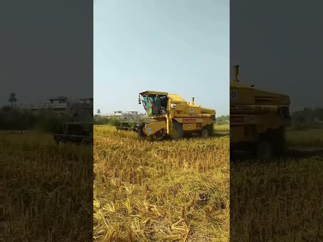 #relax #peace #automobile #agriparadise #ricefarming #agrifuture #8070 #ricecultivation