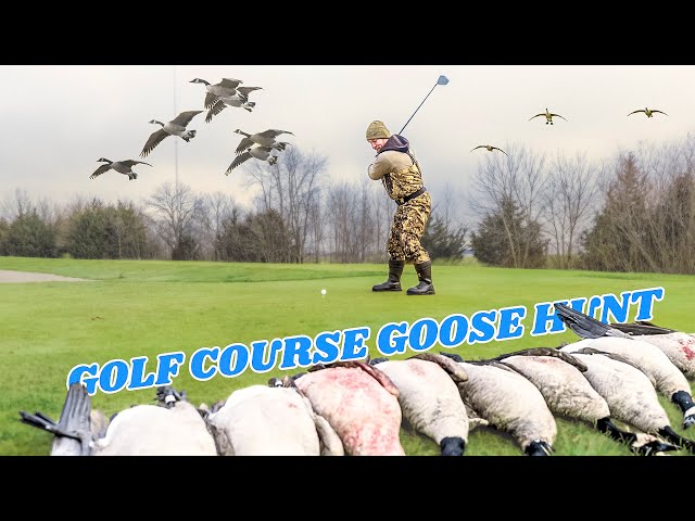 Goose Hunting a GOLF COURSE in Iowa (Multiple Bands)