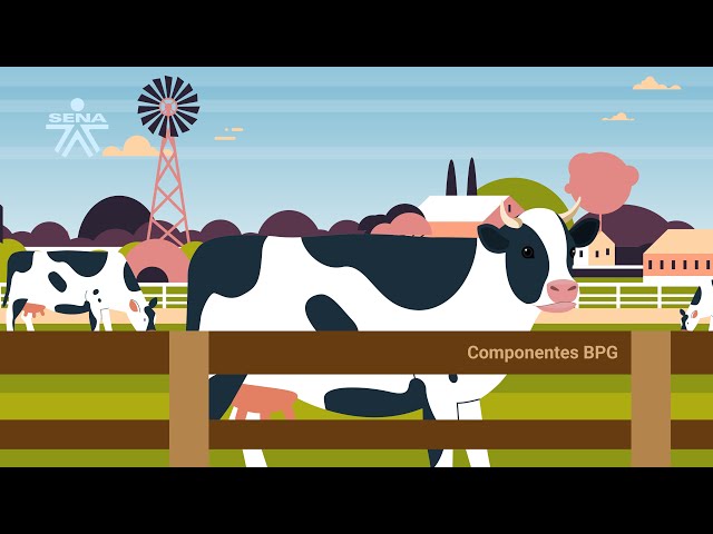 Componentes BPG