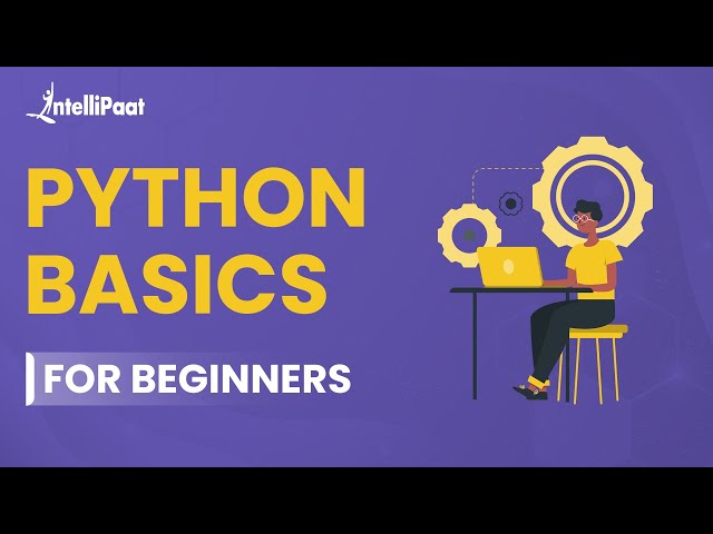 Basics Of Python | Python for Beginners | How To Become A Python Developer | Intellipaat