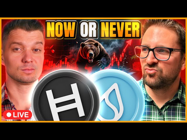 Hedera and SUI Crypto Projects at Inflection Point