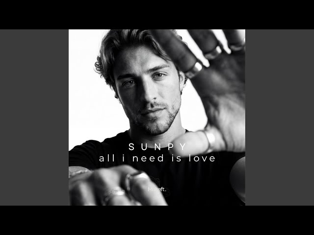 all i need is love