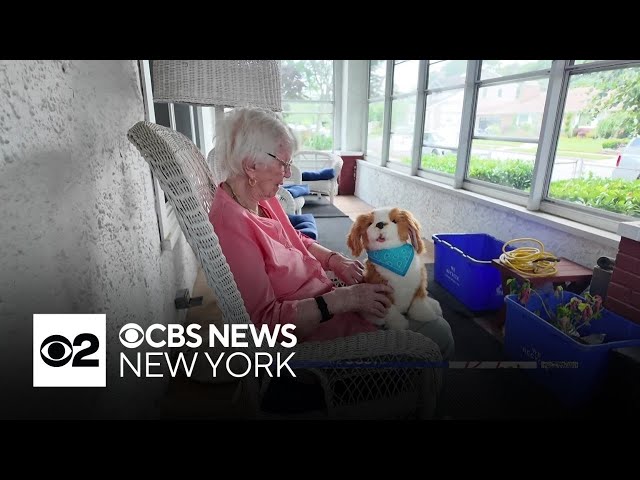 AI and robotic companions helping aging New Yorkers