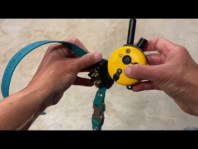 How to pair an ET 300 ecollar to a new remote (or vice versa)