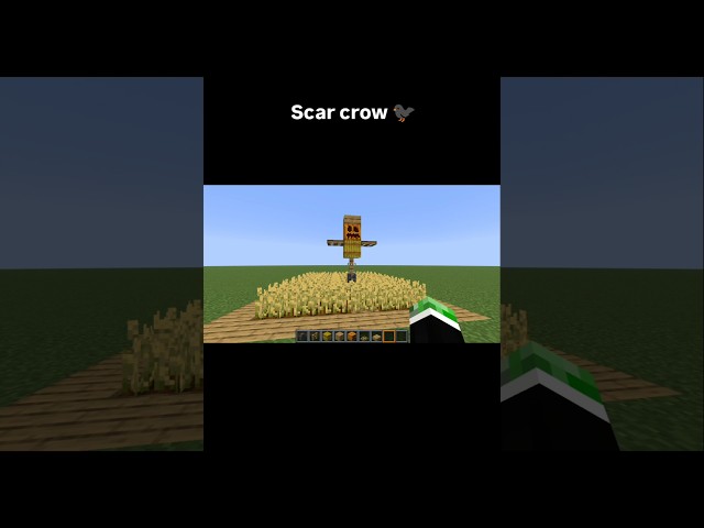 How to Build a Scarecrow in Minecraft! 🌾🎃