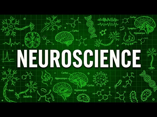 Explaining Neuroscience Like You're 5 Years Old