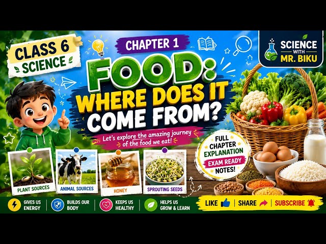 Class 6 Science Chapter 1 | Food: Where Does It Come From? | Full Chapter Explanation | NCERT