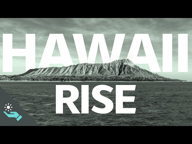 We Intend to Eat Pork | Hawaii: Rise