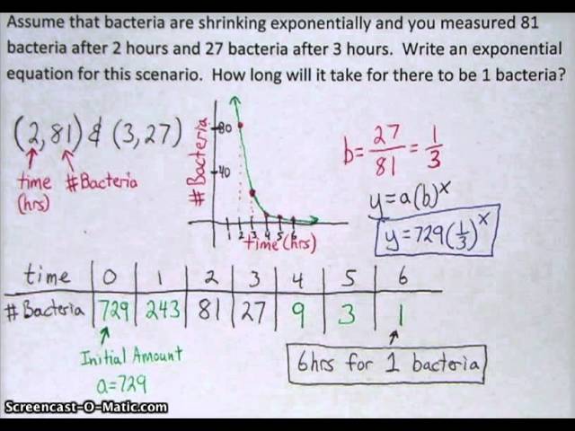 Exponential Decay Word Problem