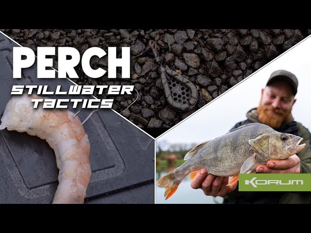 Still water Perch tactics - White Springs Fishery