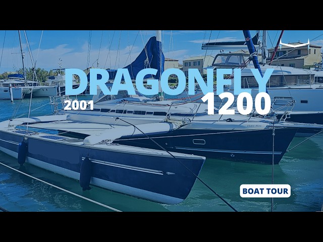 On sale - DRAGONFLY 1200 (2001)