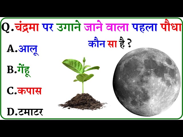 GK Question || GK In Hindi || GK Question and Answer || GK Quiz ||