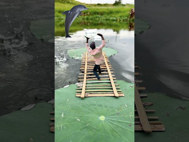 Crazy lotus 🪷🥰 Videography ideas 💡👀 #creative #shorts #videography #sort