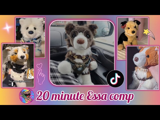 Essa comp because you dont have tiktok || Credit to all orginal owners 