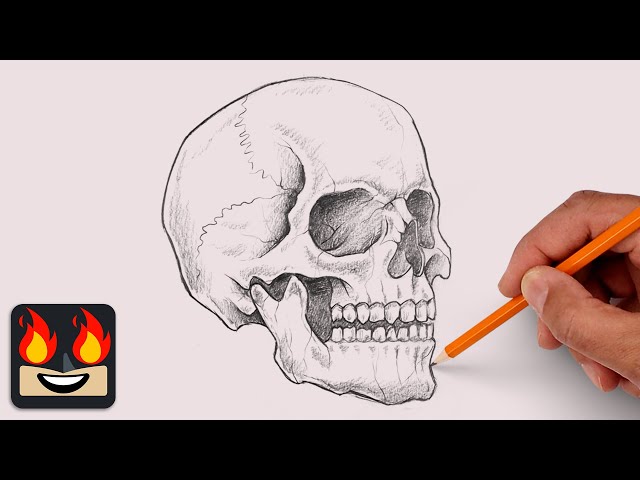 How To Draw a Human Skull | Sketch Tutorial (Step-by-Step)
