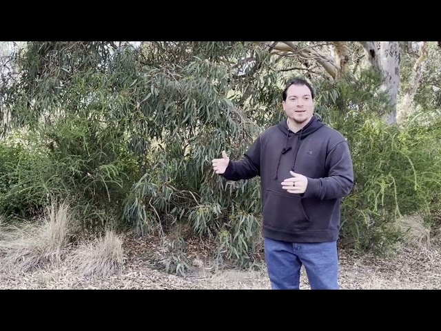 Do Not! (Session 2): Do Not Pray To Look Spiritual (Part 1) | Year on the Mountaintop