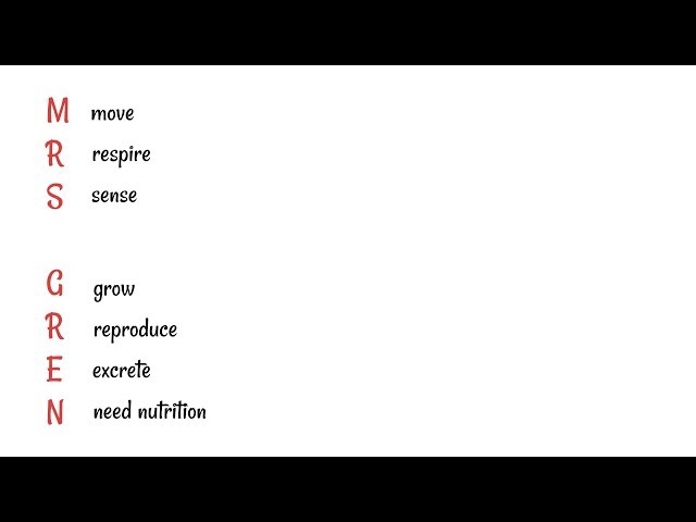 Characteristics of Living Organisms - MRS GREN