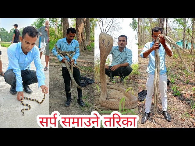 🐍घर भित्र पसेको सर्प समाउने सजिलो तरिका Cobra snake rescue in Nepal