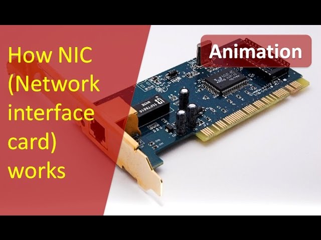 Animation of working of NIC(Network Interface Card) | How NIC works