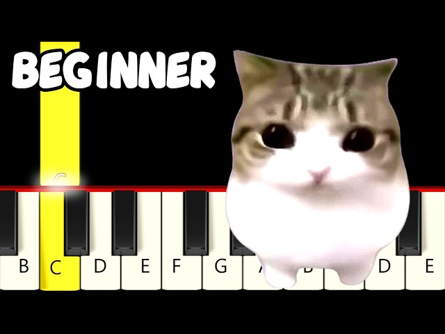 Dam Dam DidiDidi Cat Meme - Fast and Slow (Easy) Piano Tutorial (Melody only) - Beginner