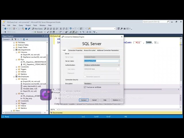 Inserting Employee Data