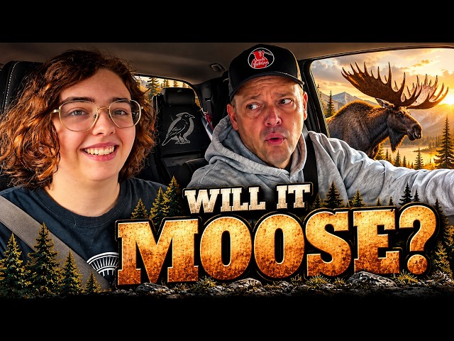 Does Bunjie, Jr., MOOSE? We're About to Find Out!