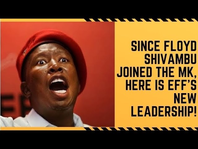 Here is the new leadership at EFF| Nedbank and News24 against Sekunjalo| When did the Dutch arrive?