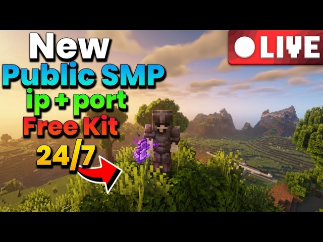 Let's play on this Public Lifesteal Minecraft Server