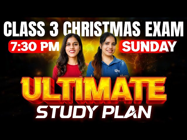 Class 3 Christmas Exam | Ultimate Study Plan | Exam Winner