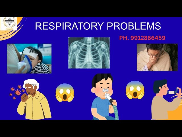 || రెస్పరేటరీ ప్రాబ్లమ్స్ కి పూర్తి పరిష్కారం || complete lung care🤗