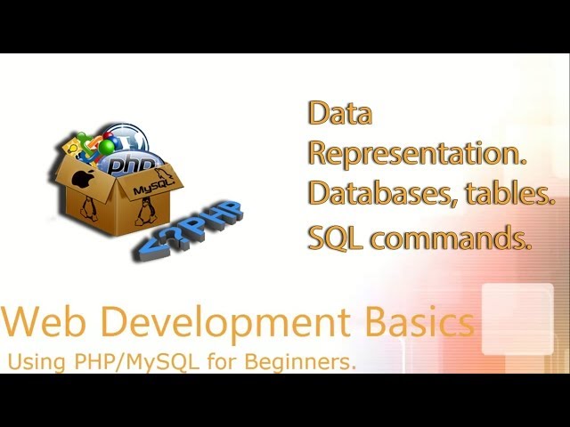 #3 Web Development Basics - MySQL Basics