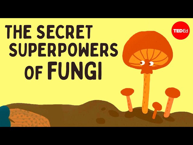 Psychedelics, mind control, radiation-eating: The secret superpowers of fungi - Max G. Levy